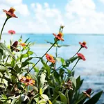 Casa Frente A La Laguna De Bacalar