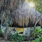 La Casa De Los Ninos Del Arbol