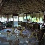 La Casa De Los Ninos Del Arbol