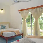 El Mirador