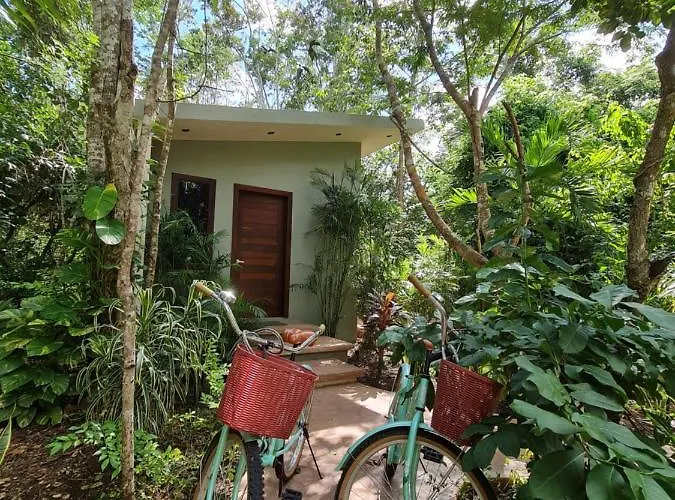 Secret Gardens Bacalar Suite 02 con alberca y bicicletas