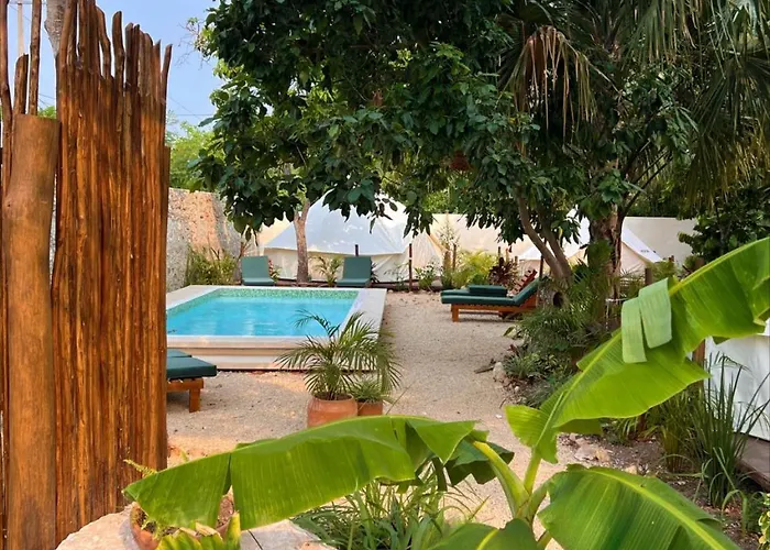 Shamalay - Nomad Experience