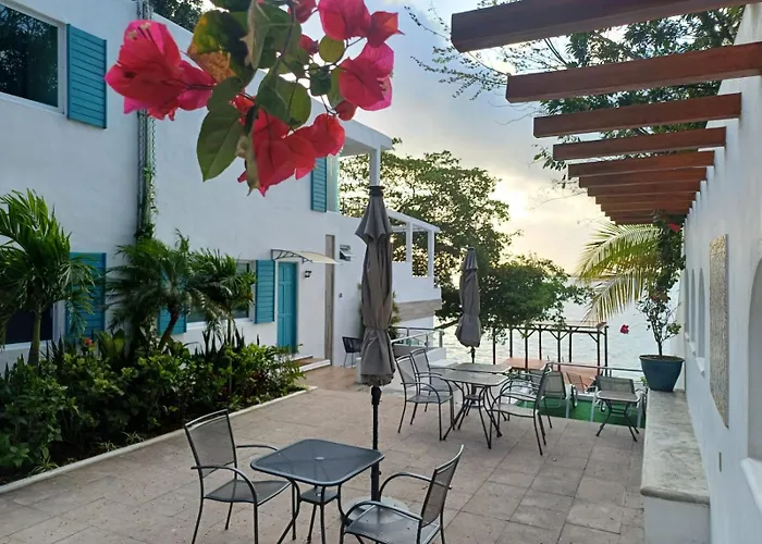 Zensus Laguna