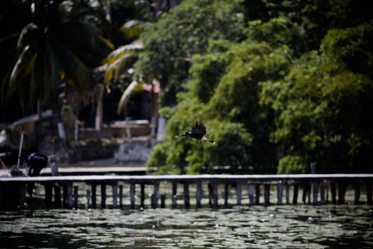 Lagoon Front Suite: Bikes And Kayaks! Inn Bacalar