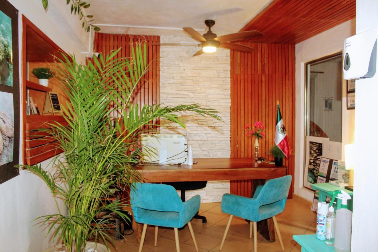 Hostal&suites Pata De Perro Hostal Bacalar