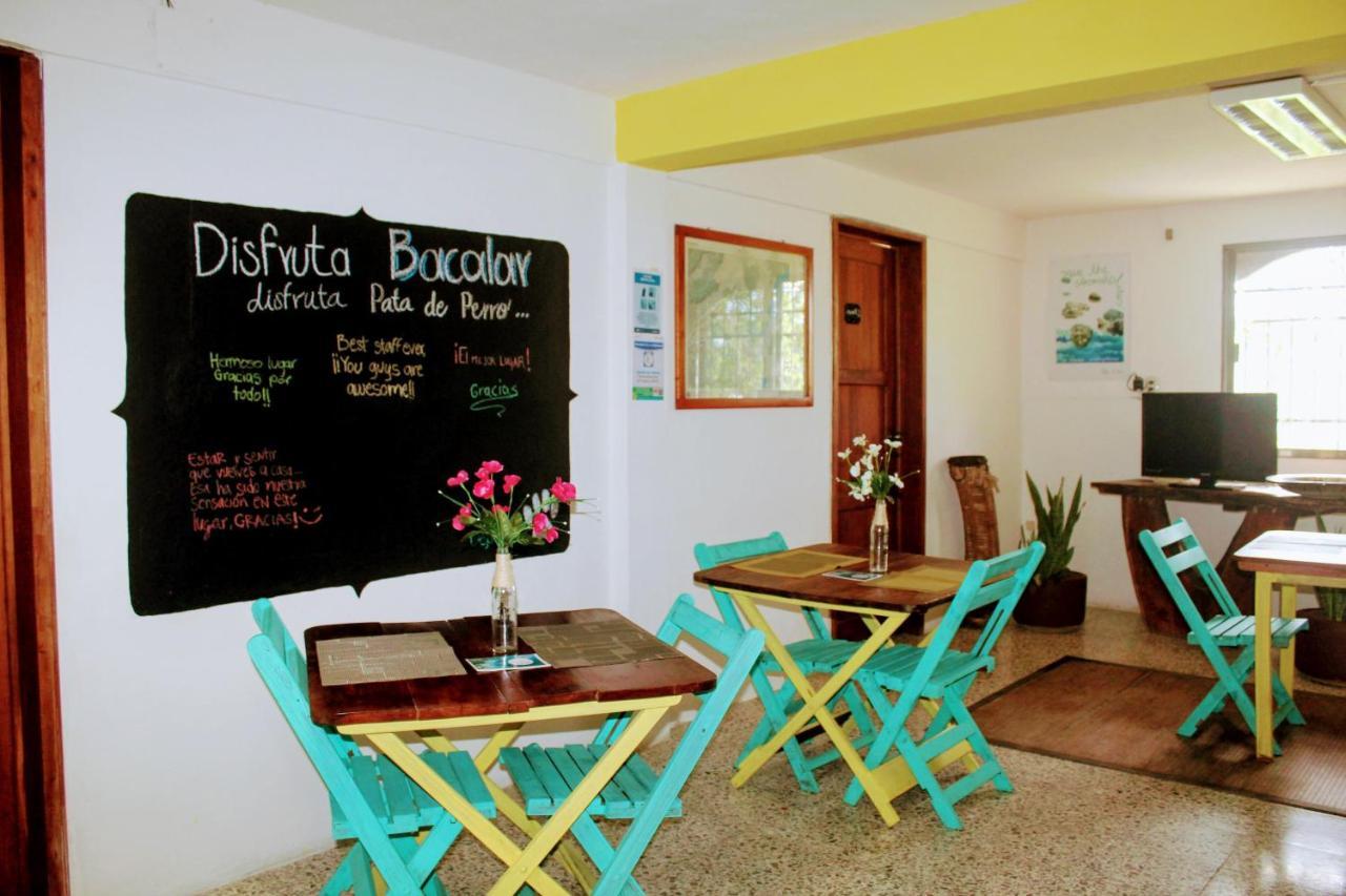 Hostal&suites Pata De Perro Hostal Bacalar