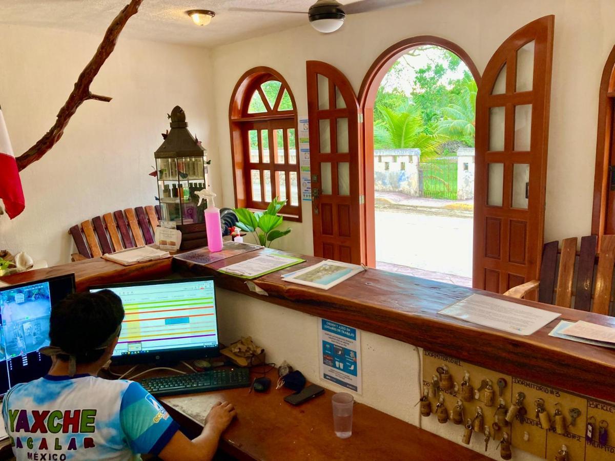 Hostal Yaxche Centro Y Bacalar