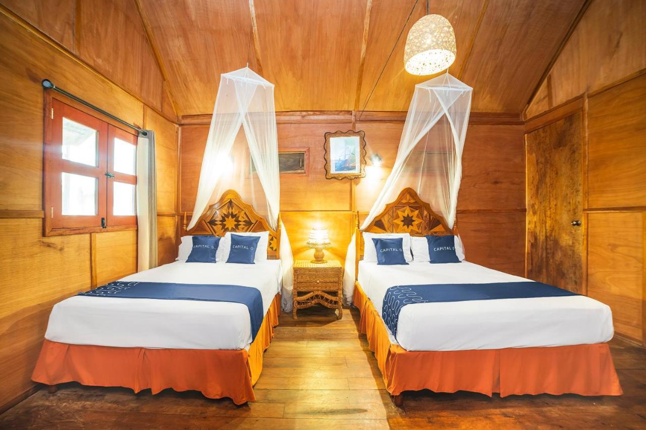 Capital O Colibrí Hotel