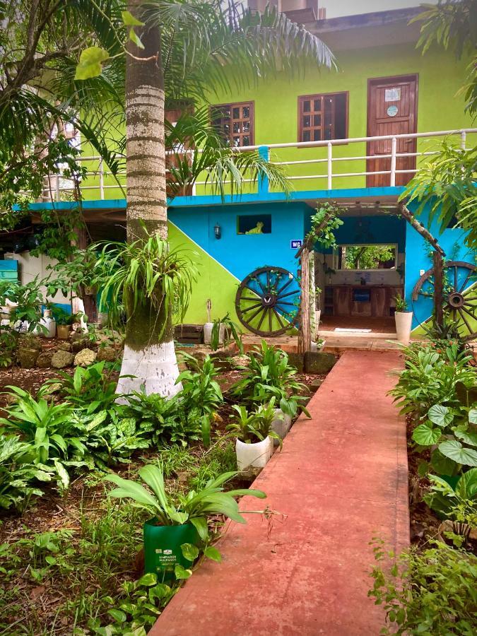 Hostal Yaxche Centro Y *