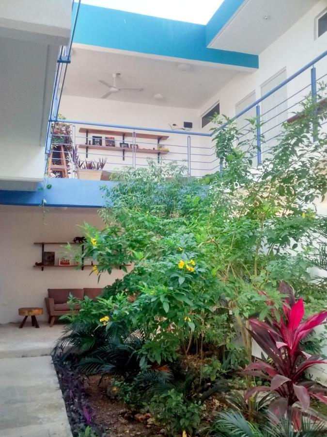 Bed and breakfast Gran Jaguar *
