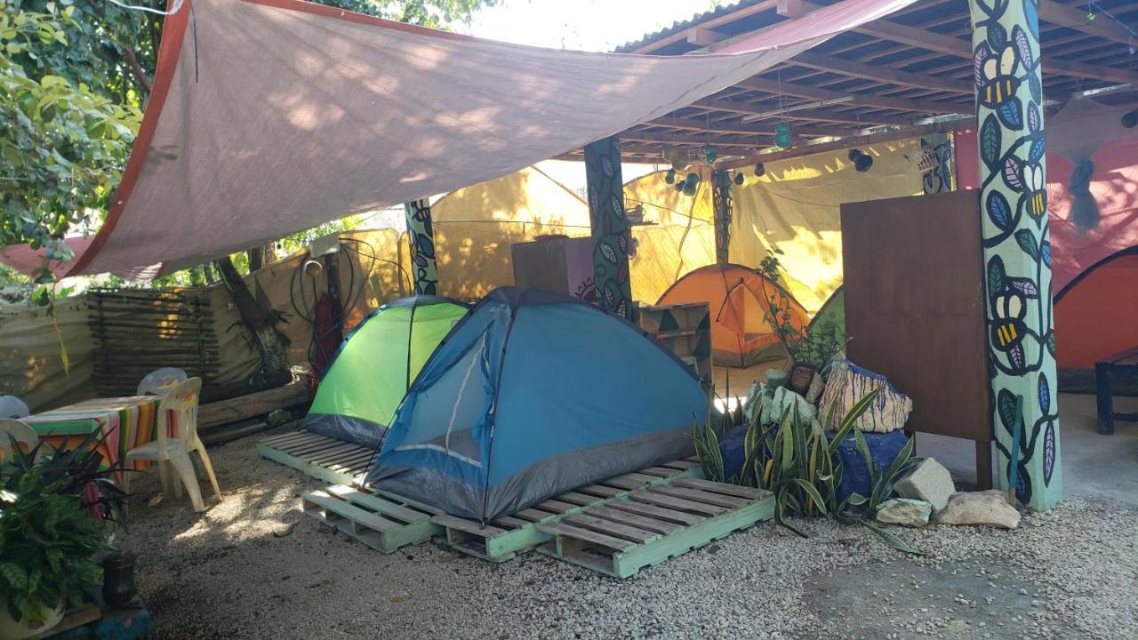 Y Camping G Camping *