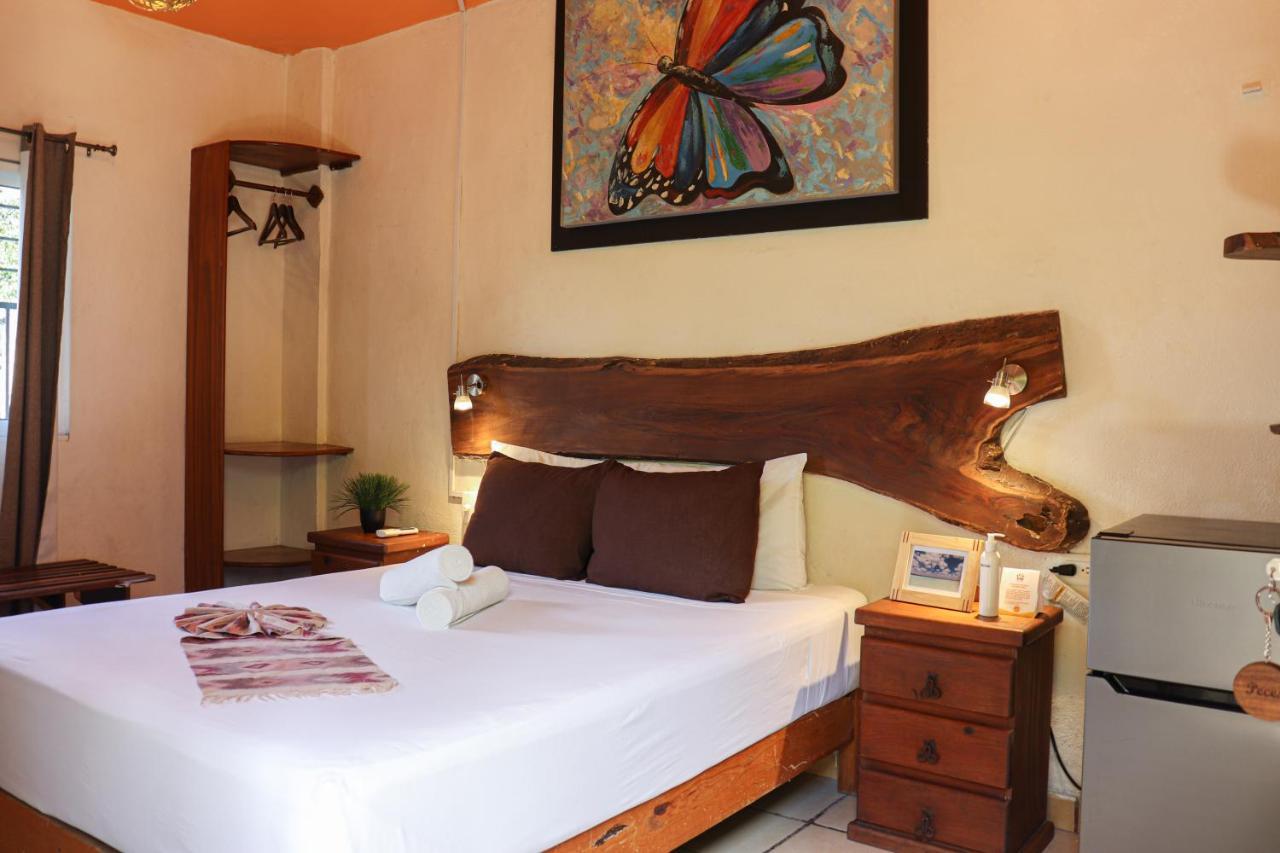 Hostal&suites Pata De Perro Hostal