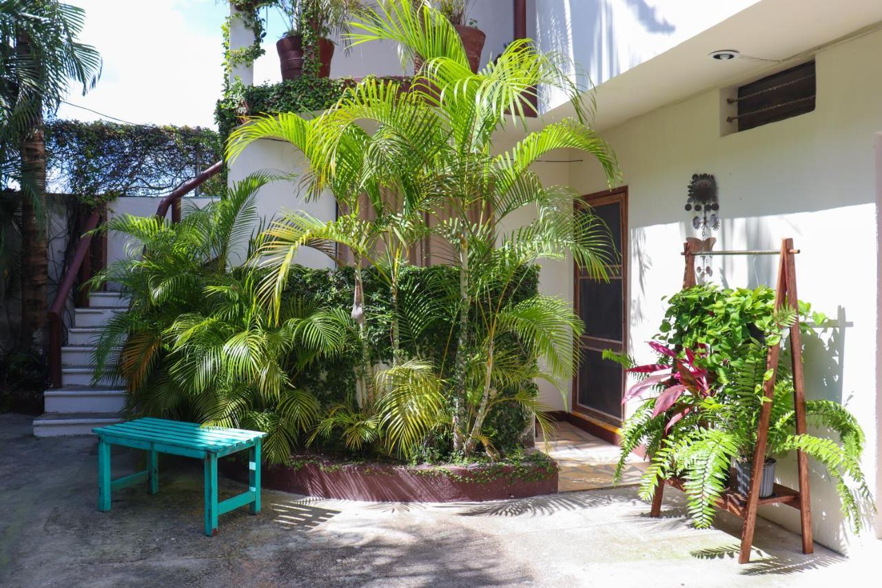 Hostal Hostal&suites Pata De Perro *