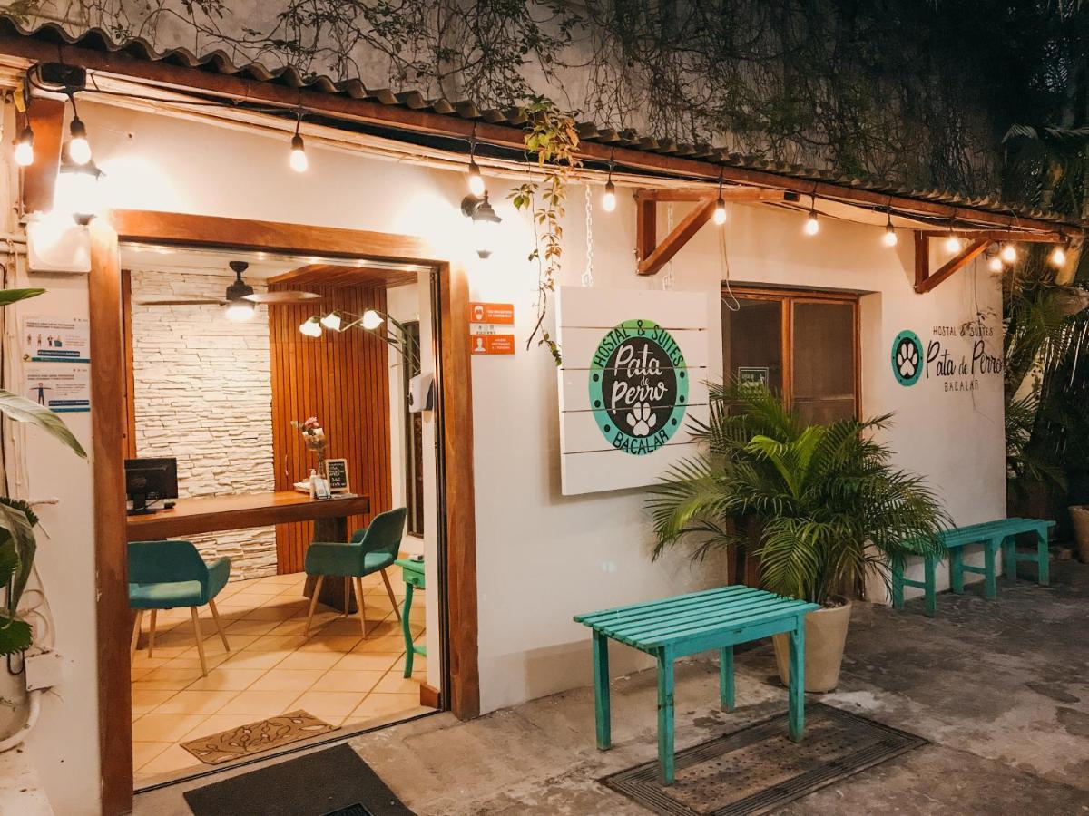Hostal Hostal&suites Pata De Perro Bacalar