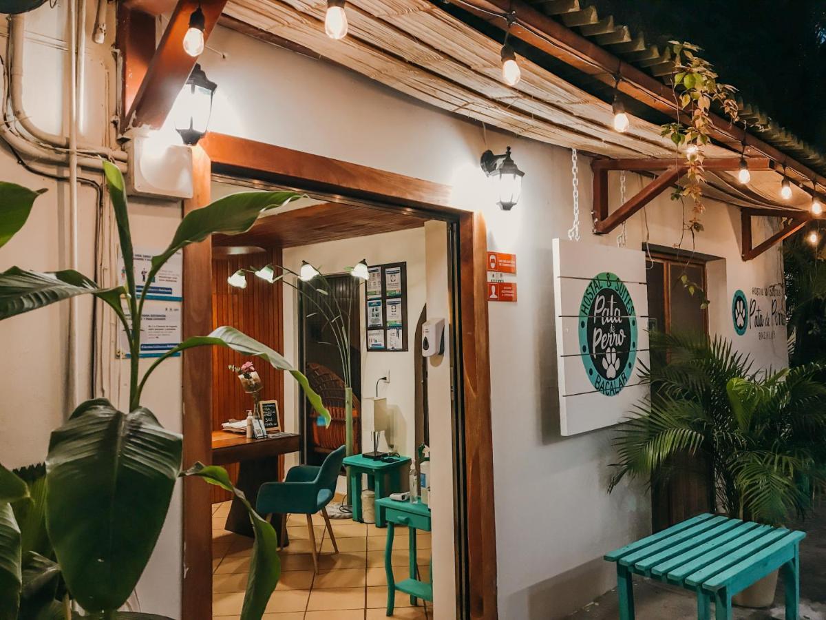 Hostal Hostal&suites Pata De Perro Bacalar