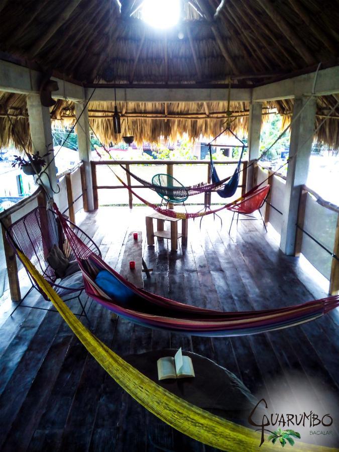 Guarumbo * Bacalar