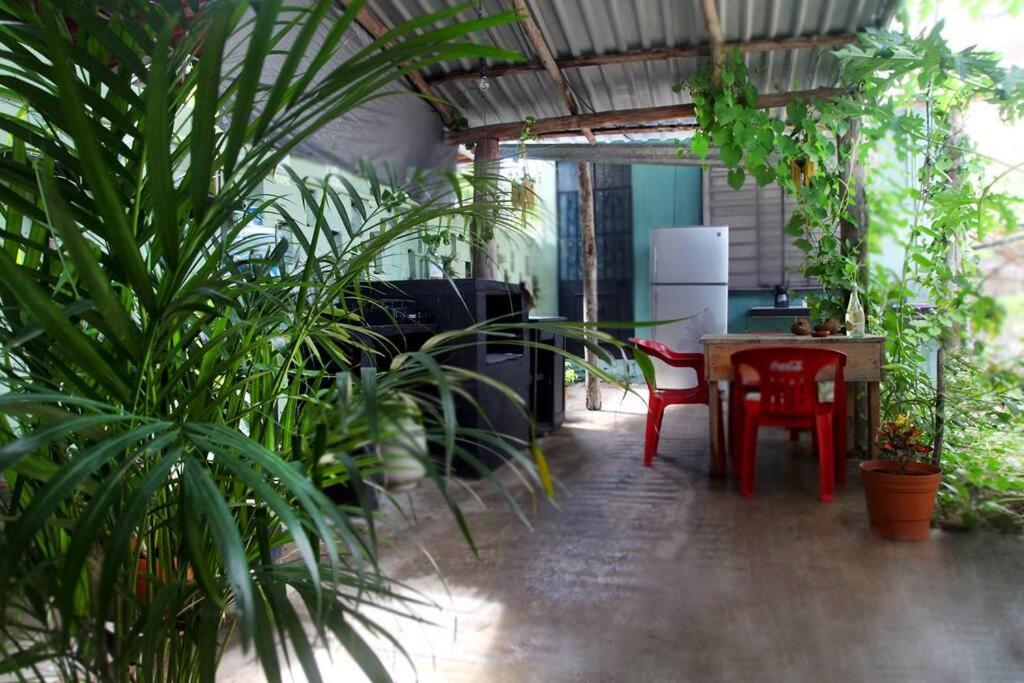 Apartamento Cada Iguana, By Jungla 5ta Av. *