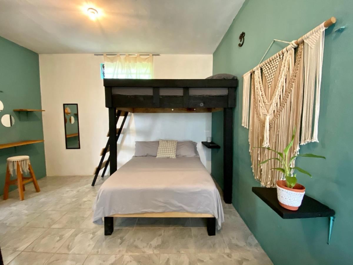 Apartamento Cada Iguana, By Jungla 5ta Av.