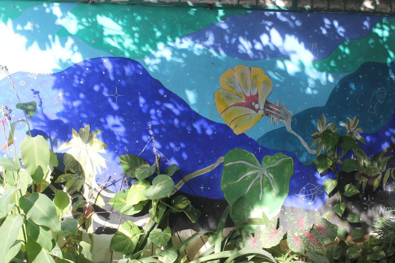 Szapot Hotel Bacalar