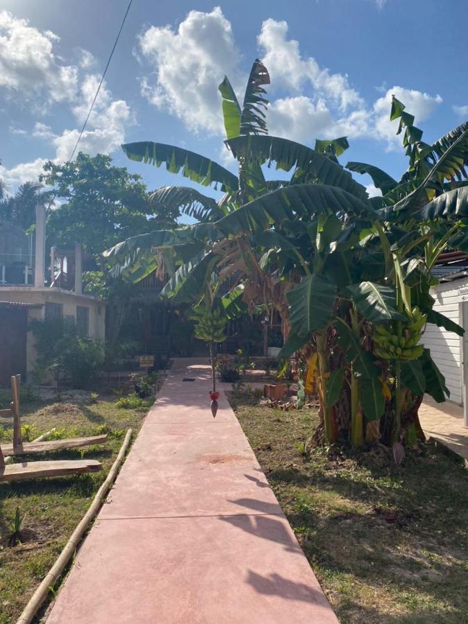 Mayan Caribe Apartment Bacalar
