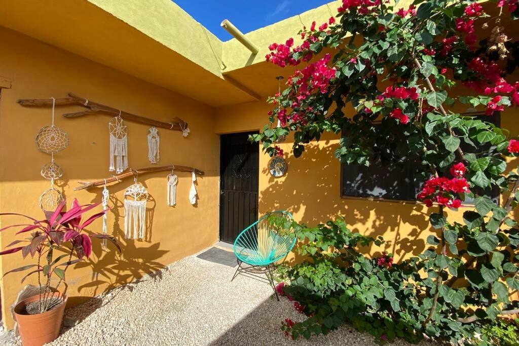 Apartamento Jungla Bacalar/ Casa Guacamayo 5ta. Av.