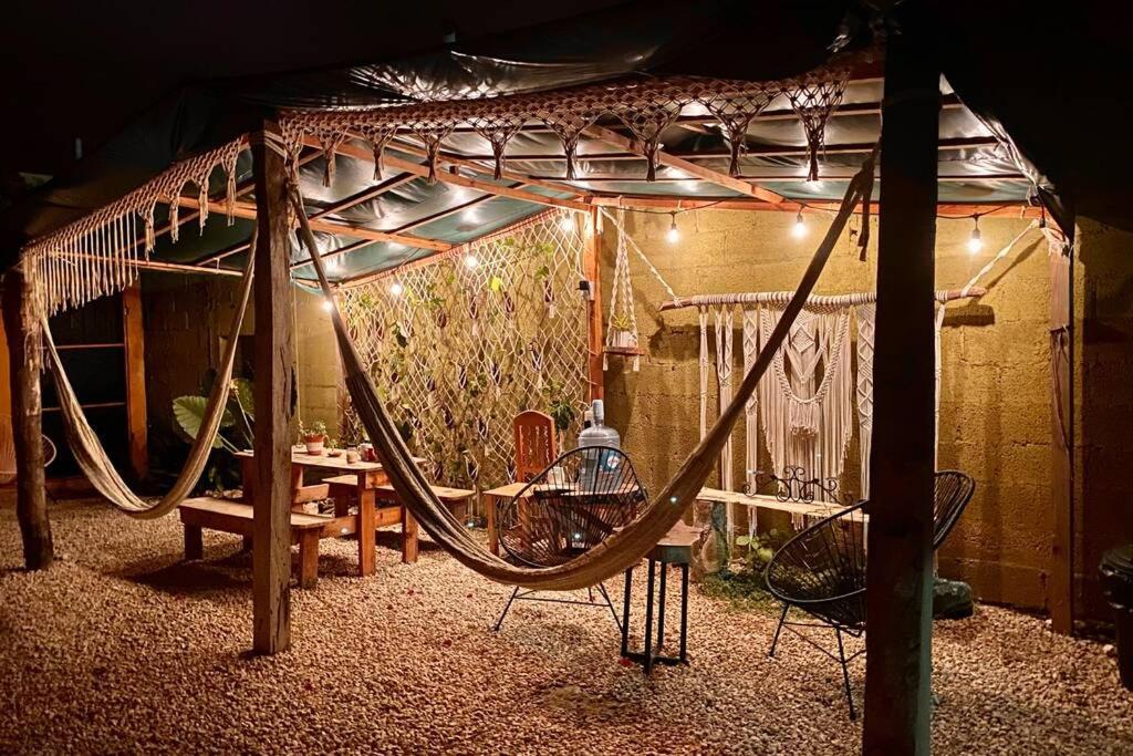 Apartamento Jungla Bacalar/ Casa Guacamayo 5ta. Av. *