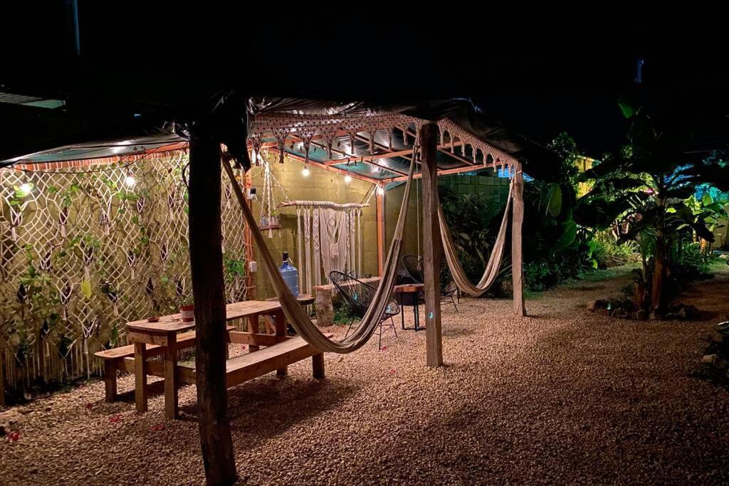 Jungla Bacalar/ Casa Guacamayo 5ta. Av. *