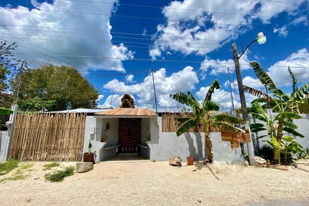 Jungla Bacalar/ Casa Guacamayo 5ta. Av.