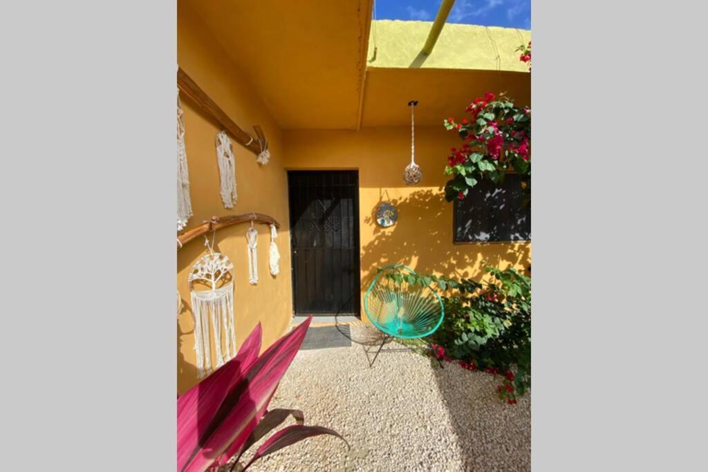 Jungla Bacalar/ Casa Guacamayo 5ta. Av. Apartamento