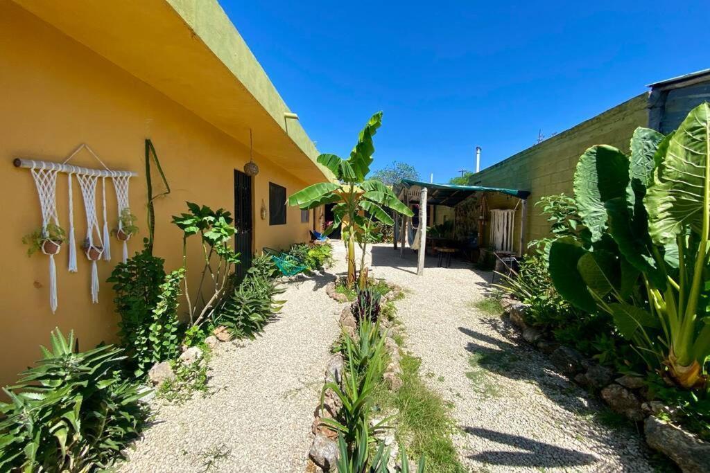 Jungla Bacalar/ Casa Guacamayo 5ta. Av. Bacalar