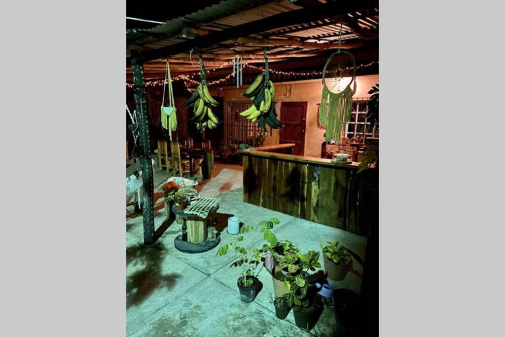 Apartamento Jungla Bacalar/ Casa Guacamayo 5ta. Av.