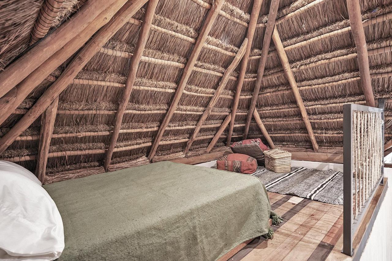 Casa Hormiga 5*