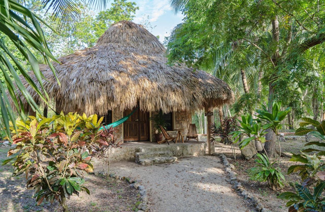 Ecotucan