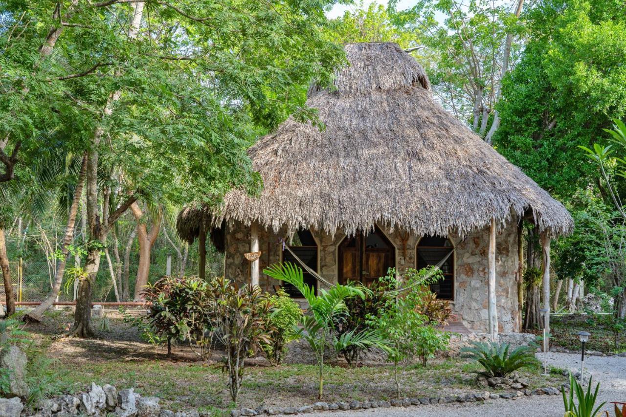 Ecotucan Bacalar