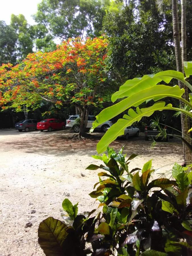 Ecotucan