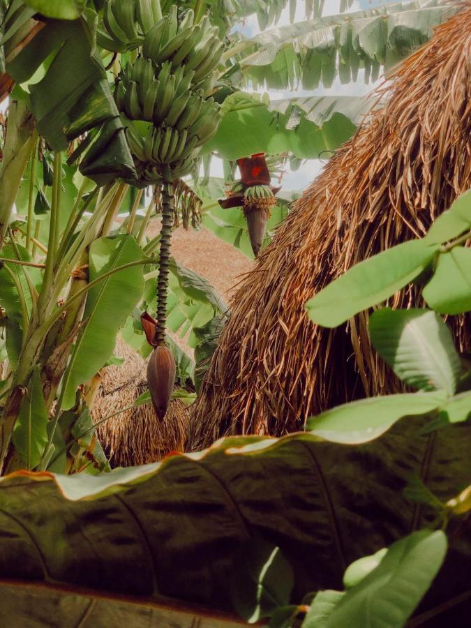 Aldea Che-eek , Con Acceso A Un Club De Playa Privado Bacalar
