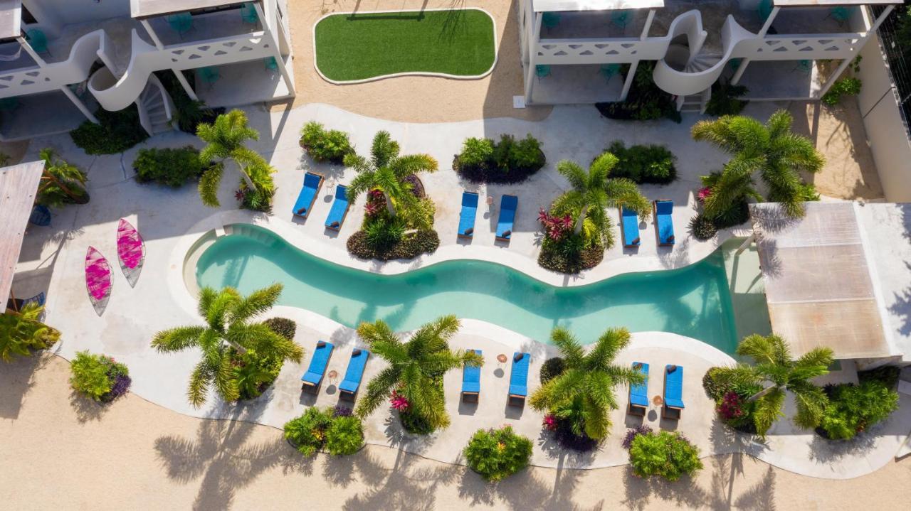 Blue Palm