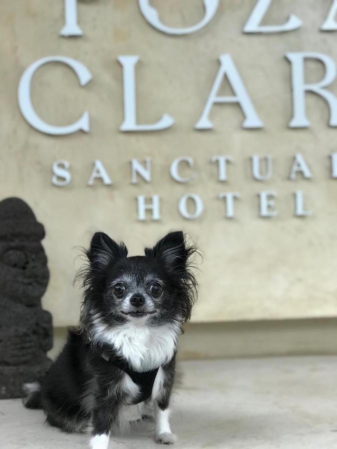 Hotel Poza Clara Sanctuary