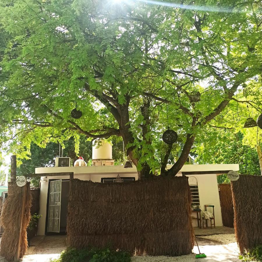 Casa Arte