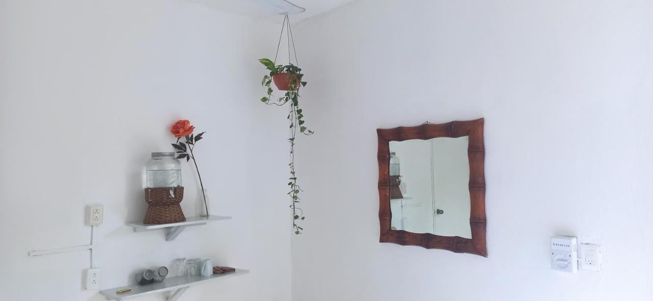 Casa Arte *