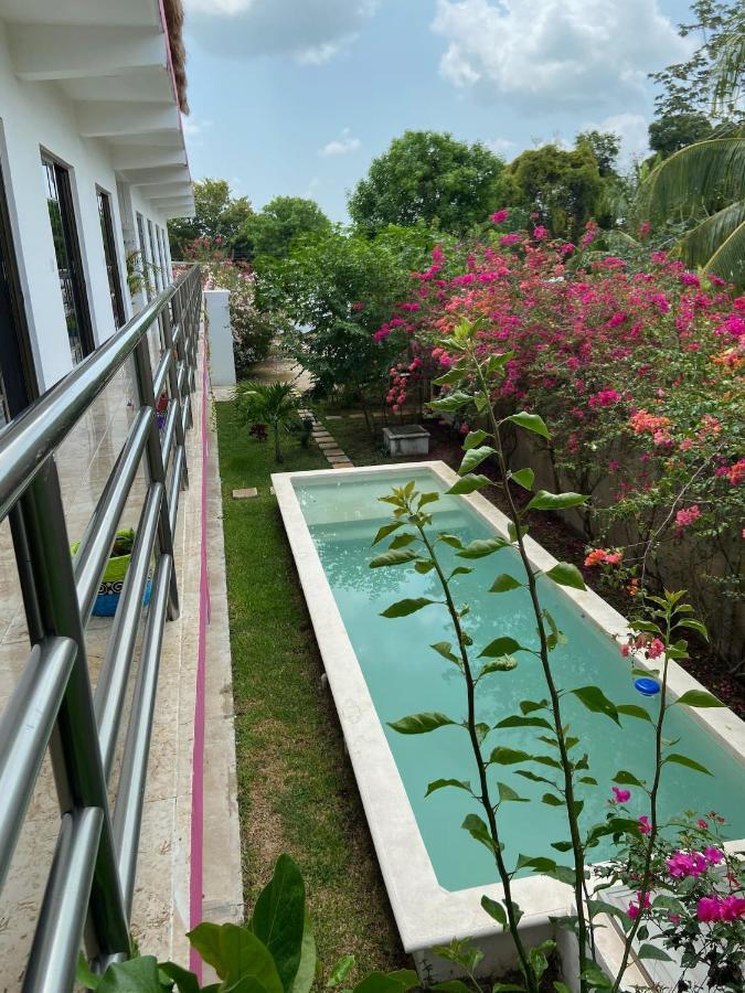 Casa Bugambilias Bed and breakfast *