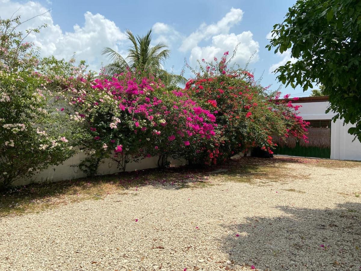 Casa Bugambilias * Bacalar