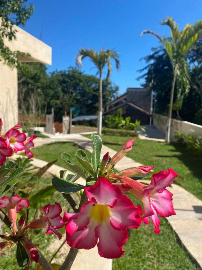 Hotel Mandarina