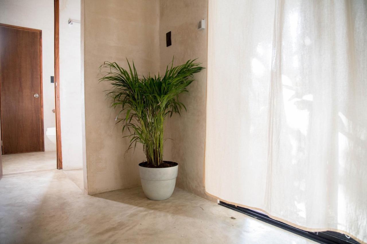 Casa Akasha Apartamento