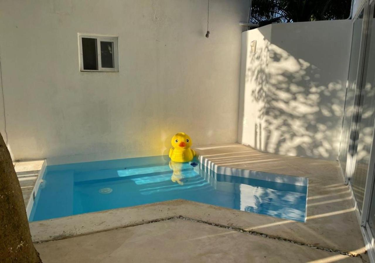 Apartamento Nocturna Loft Bacalar