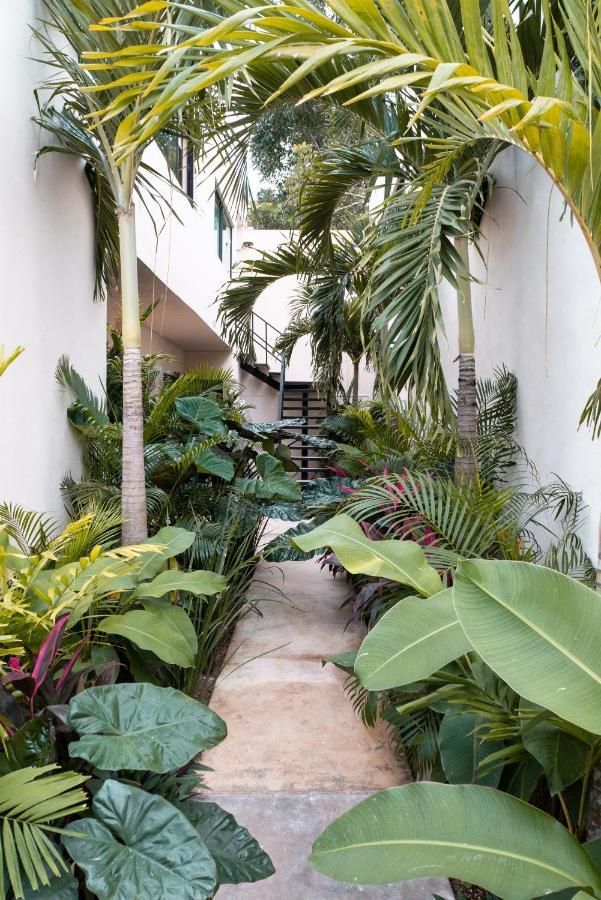 Mayanah Hotel 3*