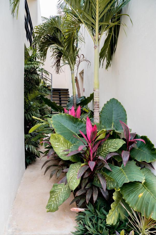 Mayanah Hotel Bacalar