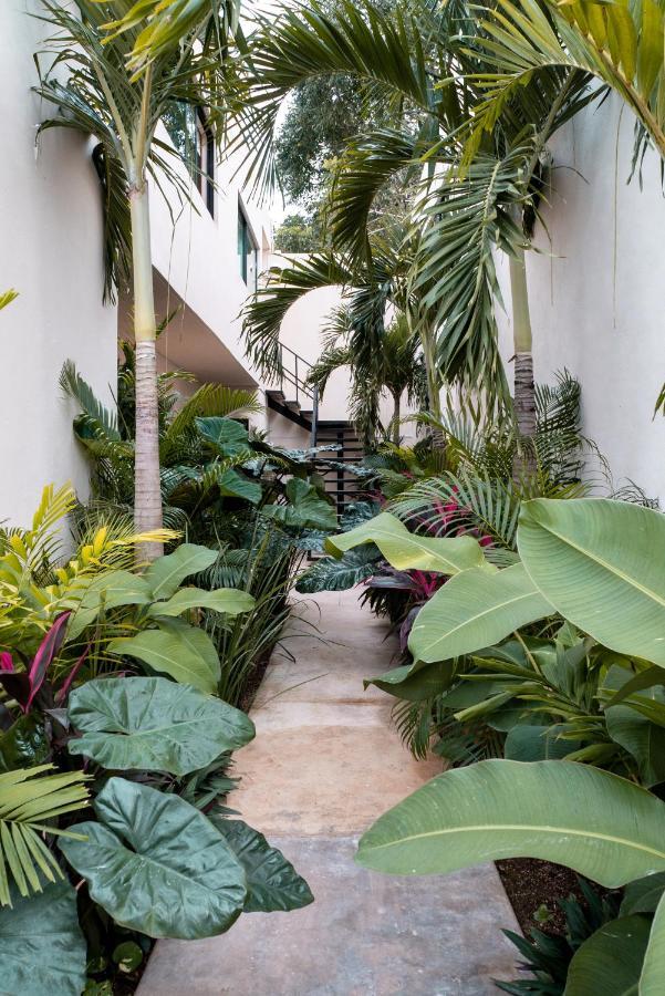 Mayanah Hotel 3*