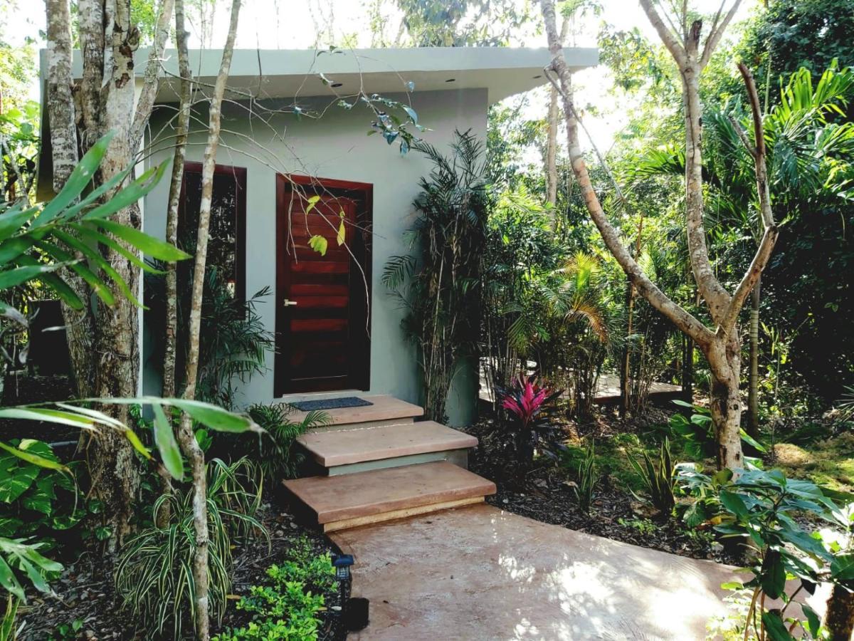 Secret Gardens 02 Con Alberca Y Bicicletas Hotel Bacalar