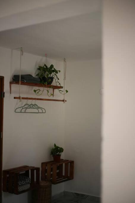 Casa Tao